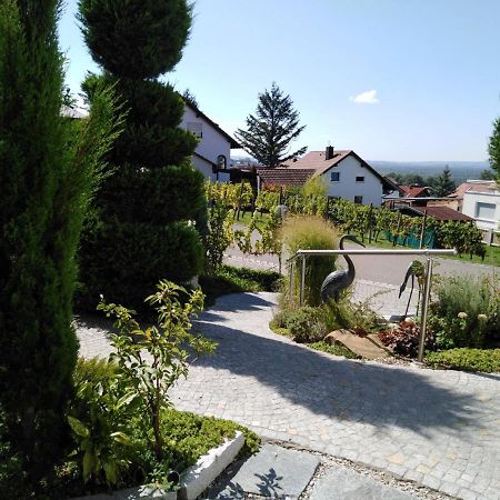 Ferienwohnung Wisser- Fernblick Bad Bellingen Εξωτερικό φωτογραφία