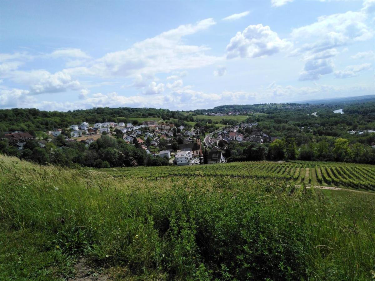 Ferienwohnung Wisser- Fernblick Bad Bellingen Εξωτερικό φωτογραφία
