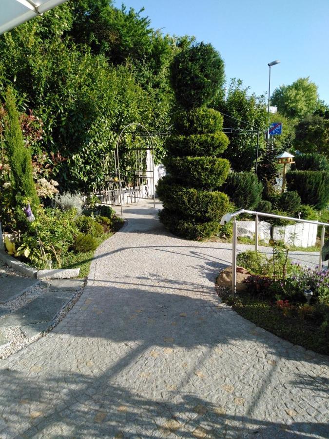 Ferienwohnung Wisser- Fernblick Bad Bellingen Εξωτερικό φωτογραφία